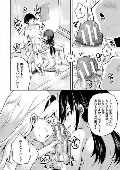 Ecchi na Imouto to Chibikko Harem