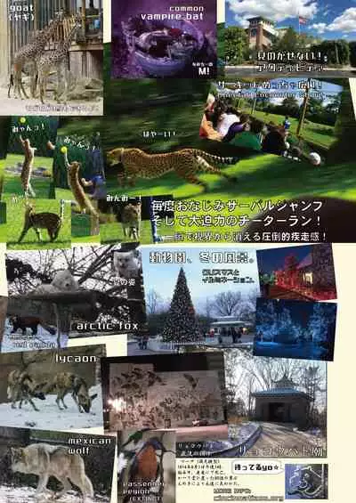 may Kemono Friends Thre Goudoushi