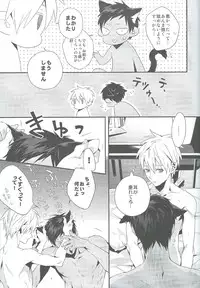 (SPARK8) [inumog (Fujino, Marumo)] Kimi to Nekomimi (Kuroko no Basuke)