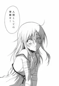 (C91) [Sputnik (Yasu)] Ple Twelve Story (Mobile Suit Gundam UC)