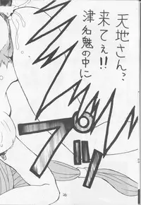 (CR17) [Studio Hotaru (Ikeda Masato)] B Lunch Teishoku (Tenchi Muyou!)