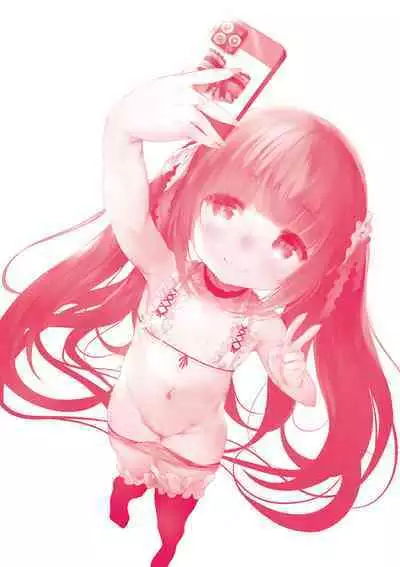 Shinme Tori - symmetry