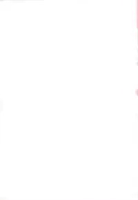 [Shimao Kazu] Flower