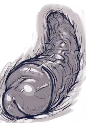 Harley Quinn Superslut