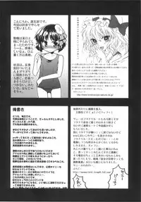 (C77) [Reborn (Various)] Ijou Keiken +2 (Touhou Project)