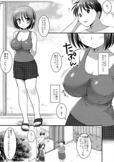 (COMITIA113) [Nagiyamasugi (Nagiyama)] Osananajimi to Engawa Ecchi
