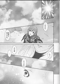 (C83) [atelierkk (kazamik)] LORD of the RING king of Iris (Fire Emblem: Awakening)