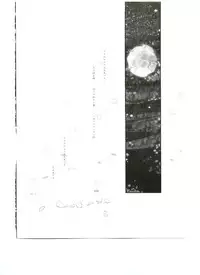 (C65) [Slave (Ebina Souichi)] Kasumi Love 3 (Dead or Alive)