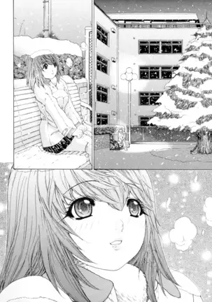 Kininaru Roommate Vol.4