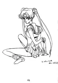 [Himitsu Kessha Tsuki to Yousei] Re-Flesh! (Sailor Moon)