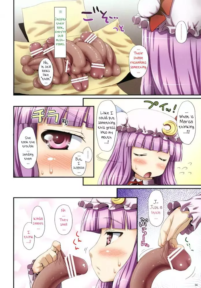 Oh! Patchouli And Marisa?s Mushrooms