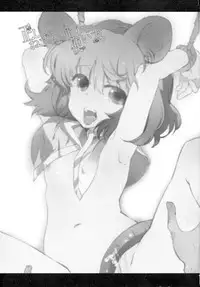 (C77) [Uminari (Narumi)] Tadashii Nezumitori no Tsukaikata. (Touhou Project)