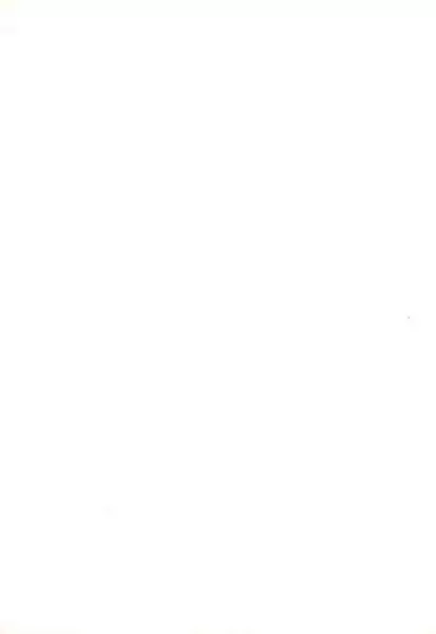 Ashita ga Ki ni naru 2