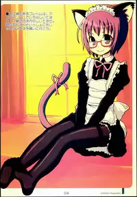 (C72) [Kimarinet (kimarin)] Dokidoki Meganekko!!