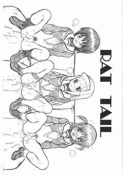 HAYATE FILE - Izumi Miki Risa Gazoushuu
