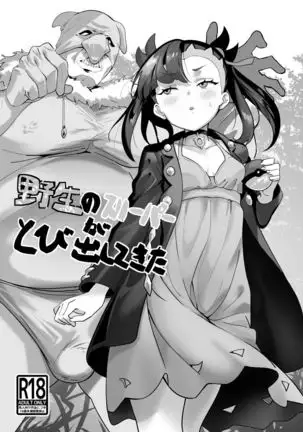 Yasei no Sleeper ga Tobidashite Kita