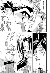 (C73) [Gemou the Cat (Yukako)] Fakers (Fate/stay night) [Chinese]