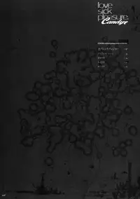 [Piggstar] Candy#3 Love Sick Pleasure (Yes! Precure 5) (Hi-res)