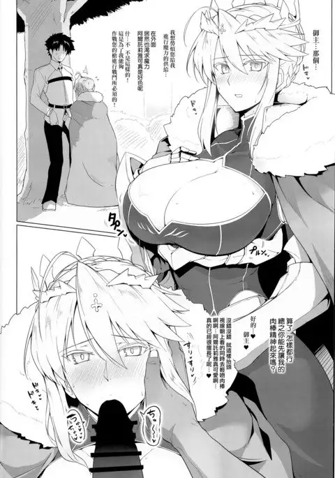 Chaldea Shiko Shiko Material Vol. 1