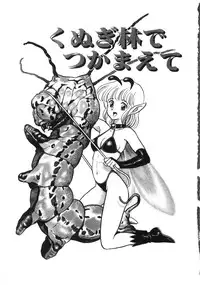 [Kondom] Bondage Fairies Zannin Shimai