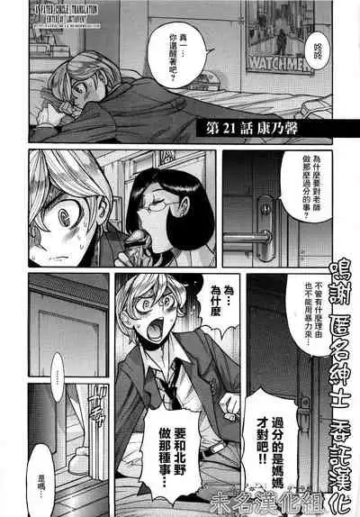 Carnation | 康乃馨