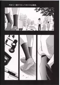 [Henrei-kai (Kawarajima Kou)] AYANAMI SUMMIT (Neon Genesis Evangelion)