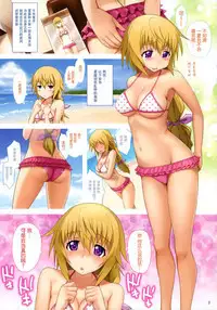 Ichika ga Sukiyaki! + Inglez Saikou 2