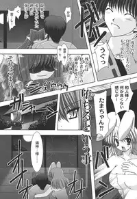 [Shikigami Azuma] Nichoume no Nekogamisama [Digital]