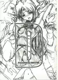 (CR35) [FAKESTAR (Miharu)] D (Record of Lodoss War)