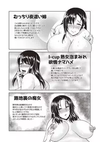 [Ozy] Iyarashi Chijo Onee-san [Digital]