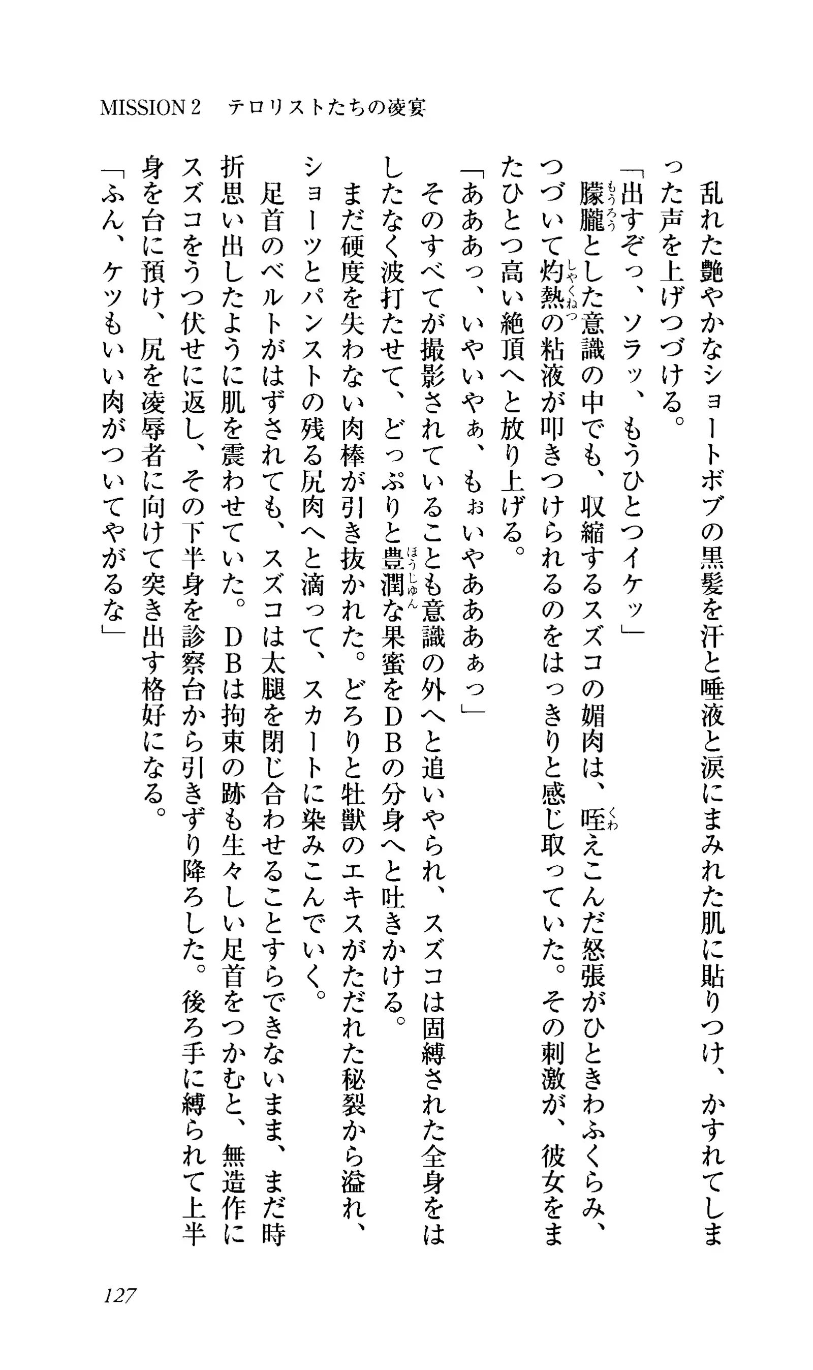 Captain Fusion Torawareta Bijin Shoukou