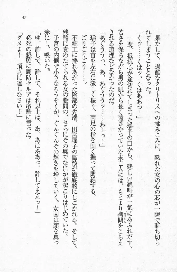 メイド喫茶 猫の隠れ家