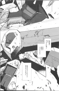 [NEO-de (Natsusaka)] Double Revival (Gundam Seed Destiny)