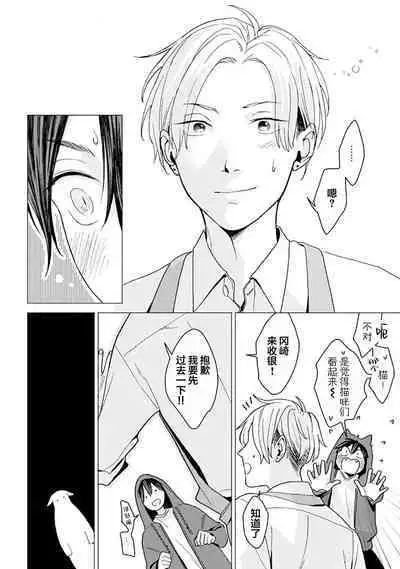 恋爱中的猫咪想被抚摸