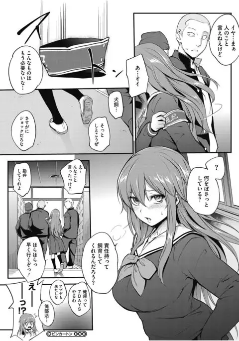 Core Colle Chijoku Inbaku