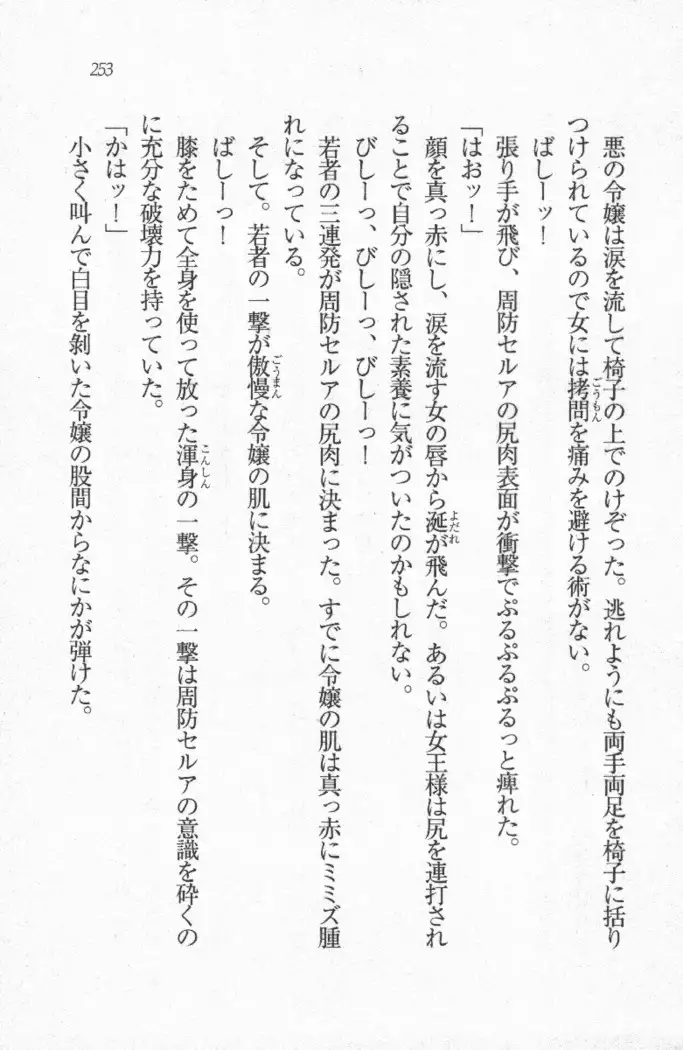 メイド喫茶 猫の隠れ家