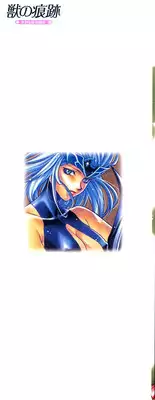 [Sengoku Murasaki] Kemono no Konseki | a brute trace