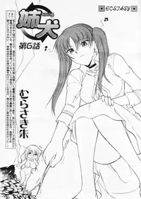 Comic Papipo 2004-11