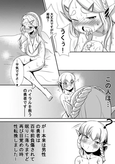 Hime do Yuusha no Hailar Nichijou