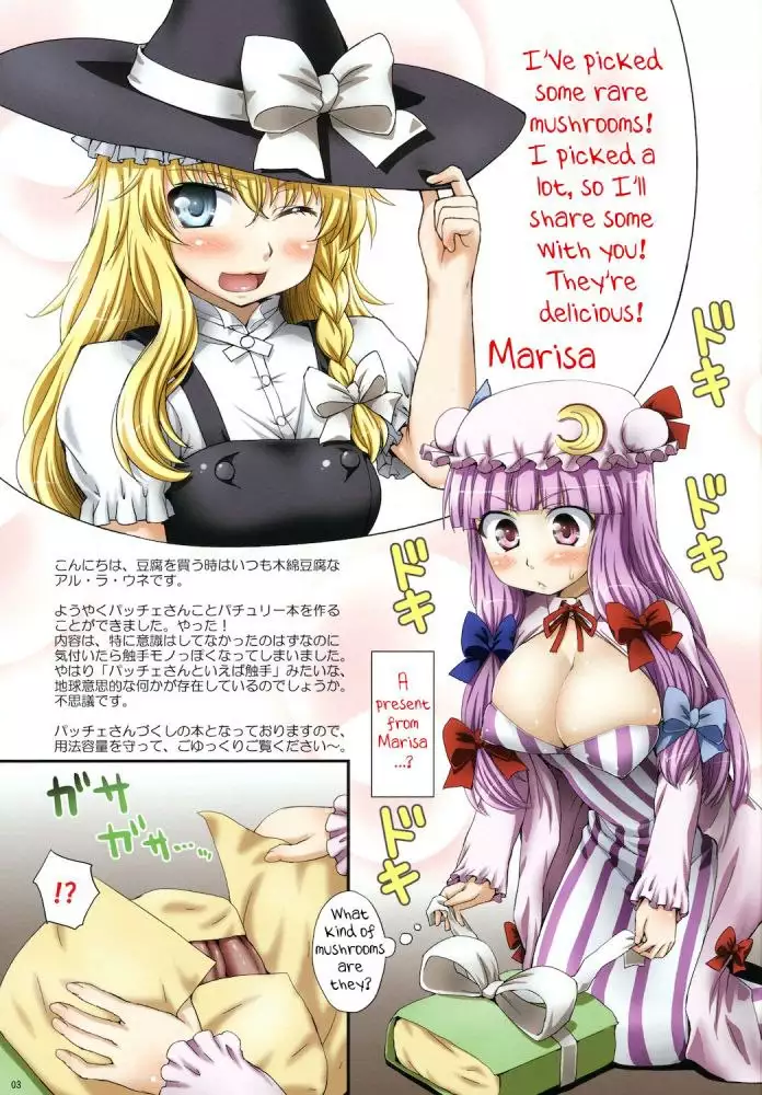 Oh! Patchouli And Marisa?s Mushrooms