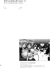 (C86) [Maniac Street (Oono, Sugaishi)] Harem Collection (To LOVE-Ru)