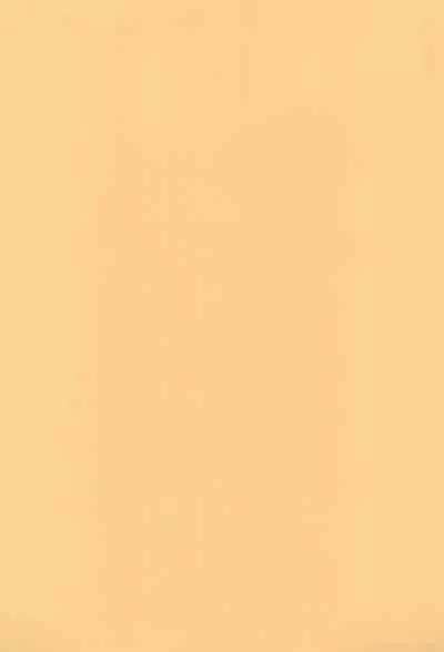 (C63) [Circle Bob (Brother Bob)] Aniome Imouto Ou 1 (Various)