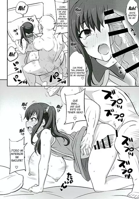 Mesu Buta Seisaku Shinkouchuu R