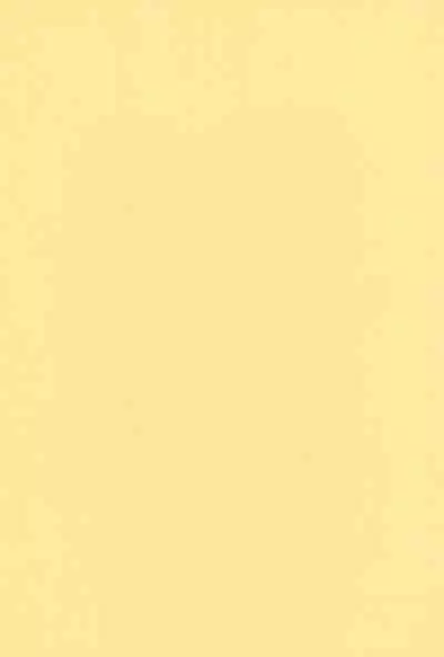 quarterly LIBIDO VOL.2