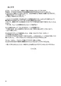 (SC47) [Cat Tower (Nyagomaru)] Zetsurin Inba 2-tou (Dragon Quest V)