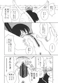 (C76) [Shousekidou] Osananajimi wo Harama Serutatta Hitotsu (Gintama)