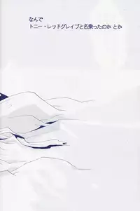 [Devil May Cry] Fragment (VergilxDante)