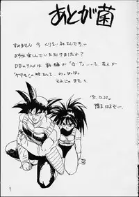 (C49) [Chirigami Goya / Fusuma Goten] Z (Dragonball)
