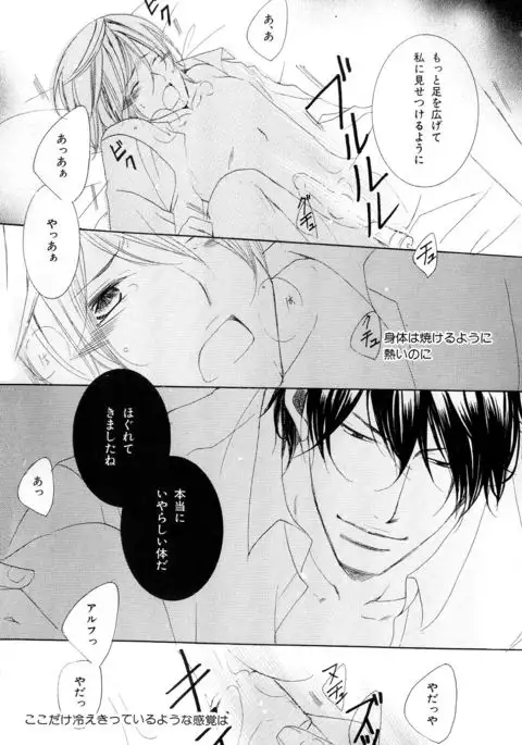 b-BOY Phoenix Vol.10 Odougu Tokushuu