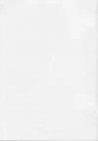 (C65) [FANTASY WIND (Shinano Yura)] RIO CHANCE (Super Black Jack)